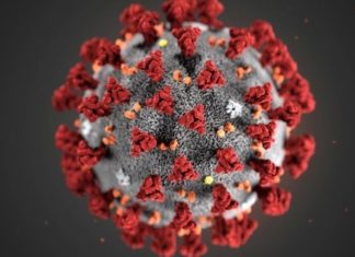 Twitter e Facebook contro le fake news sul Coronavirus Coronavirus