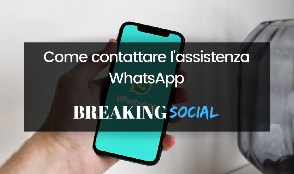 Come contattare WhatsApp, assistenza WhatsApp