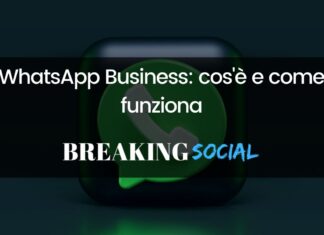 WhatsApp Business: cos’è e come funziona WhatsApp Business