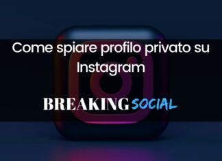 Come spiare profilo privato Instagram Come spiare profilo privato Instagram