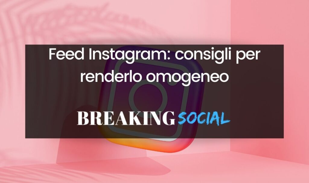 Feed Instagram: tutti i consigli per renderlo omogeneo