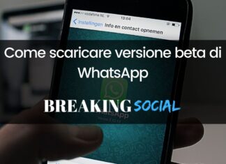 Come scaricare versione beta WhatsApp Come scaricare versione beta WhatsApp su Android e iPhone