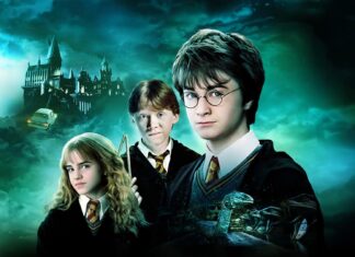 Dove vedere Harry Potter in streaming Harry Potter